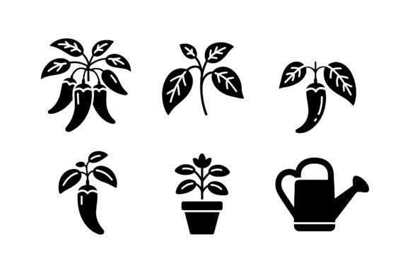 Chili Plant Growing Icon Set EPS: A Graphic Design Asset for Creative Content
