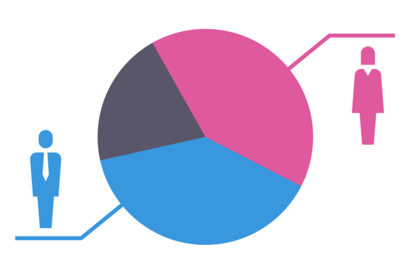 Pie Chart with Gender Distribution Template: A Designer’s Practical Take